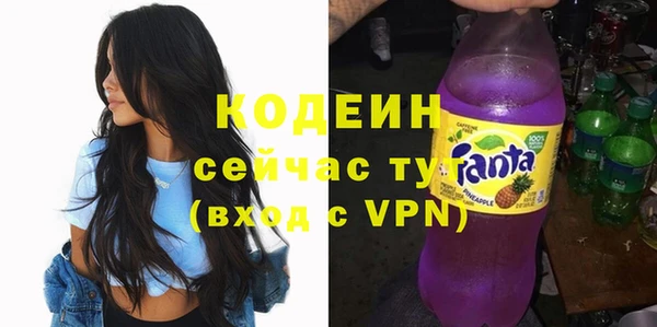 прущие грибы Заводоуковск