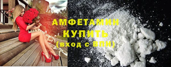 прущие грибы Заводоуковск
