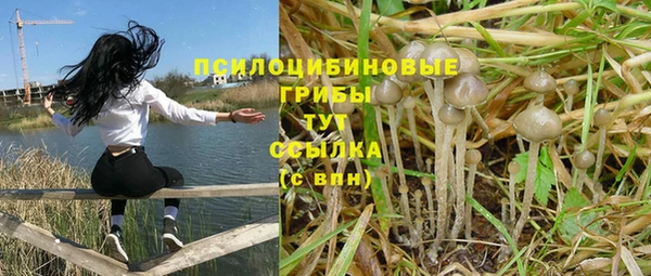 индика Заволжск