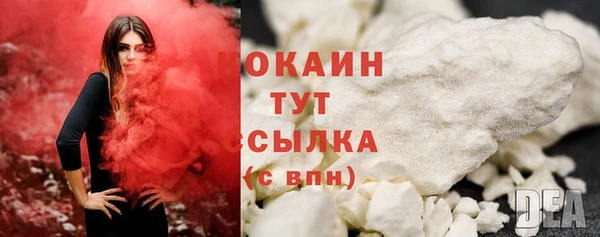 прущие грибы Заводоуковск