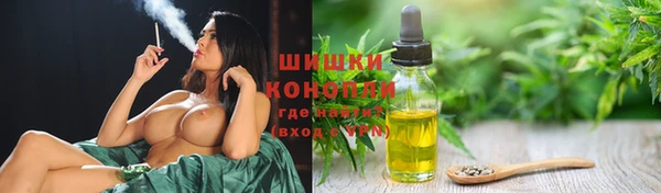 прущие грибы Заводоуковск