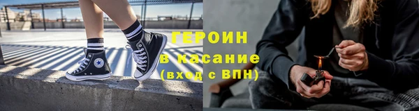 прущие грибы Заводоуковск