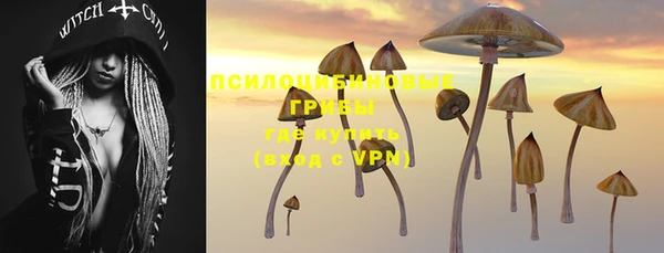 прущие грибы Заводоуковск