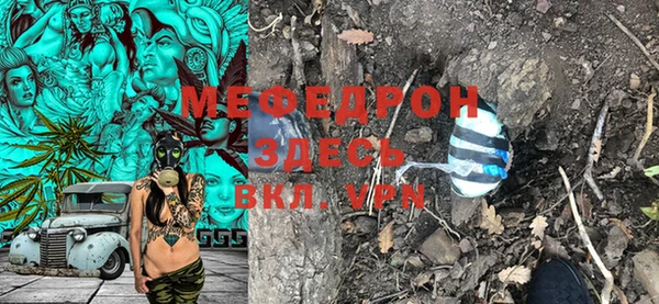 прущие грибы Заводоуковск