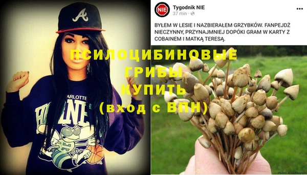 индика Заволжск