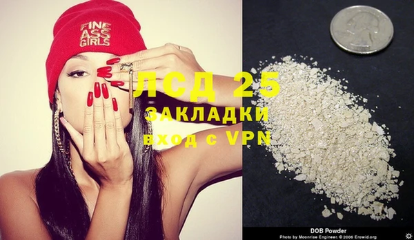 индика Заволжск