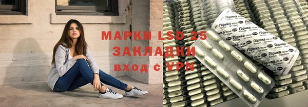 прущие грибы Заводоуковск