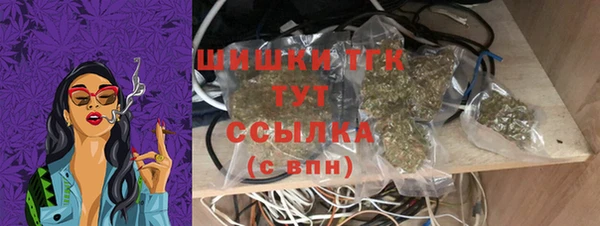 индика Заволжск