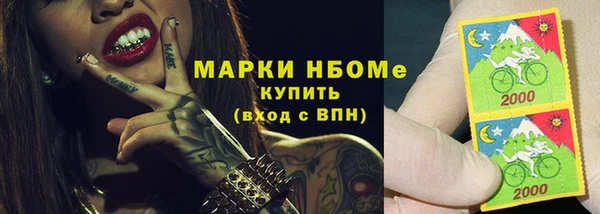 индика Заволжск