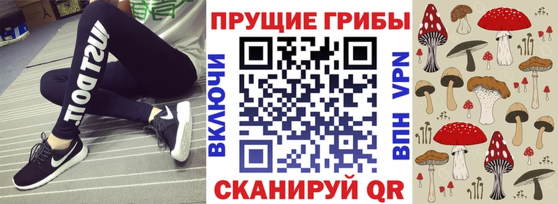 Псилоцибиновые грибы ЛСД  Купить закладки  Дальнегорск 